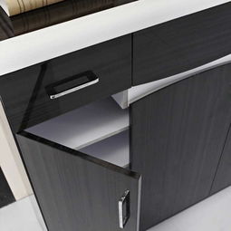 南方名品爵士黑鞋柜 簡約現代設計，優質人造板材