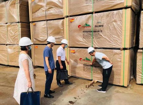 崇左市市場監(jiān)管局深入實施四大戰(zhàn)略，全面提升家具生產(chǎn)質(zhì)量水平